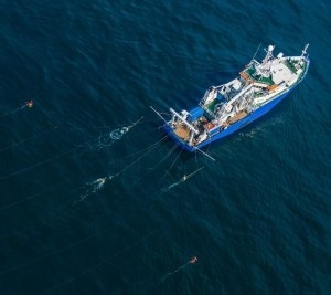 Surveyschip tijdens de uitvoering van 3D reflectie seismiek