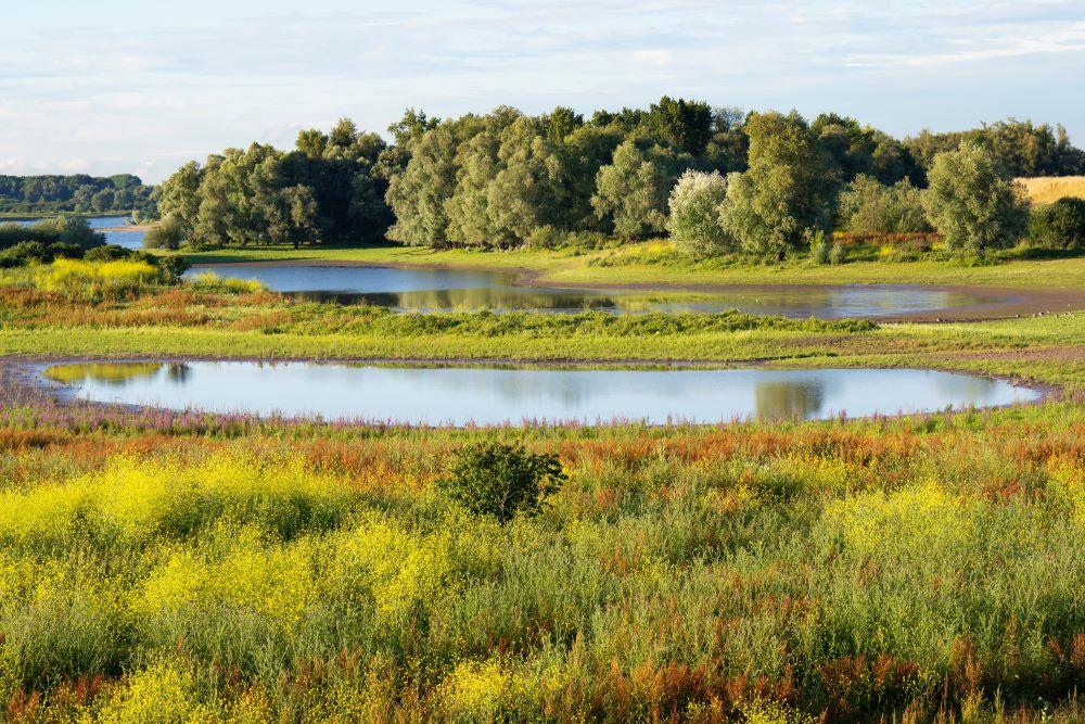land teruggegeven aan de natuur