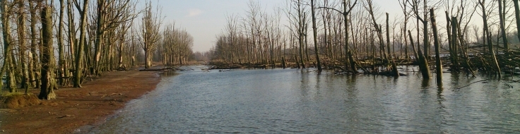 Delta's redden zeespiegel