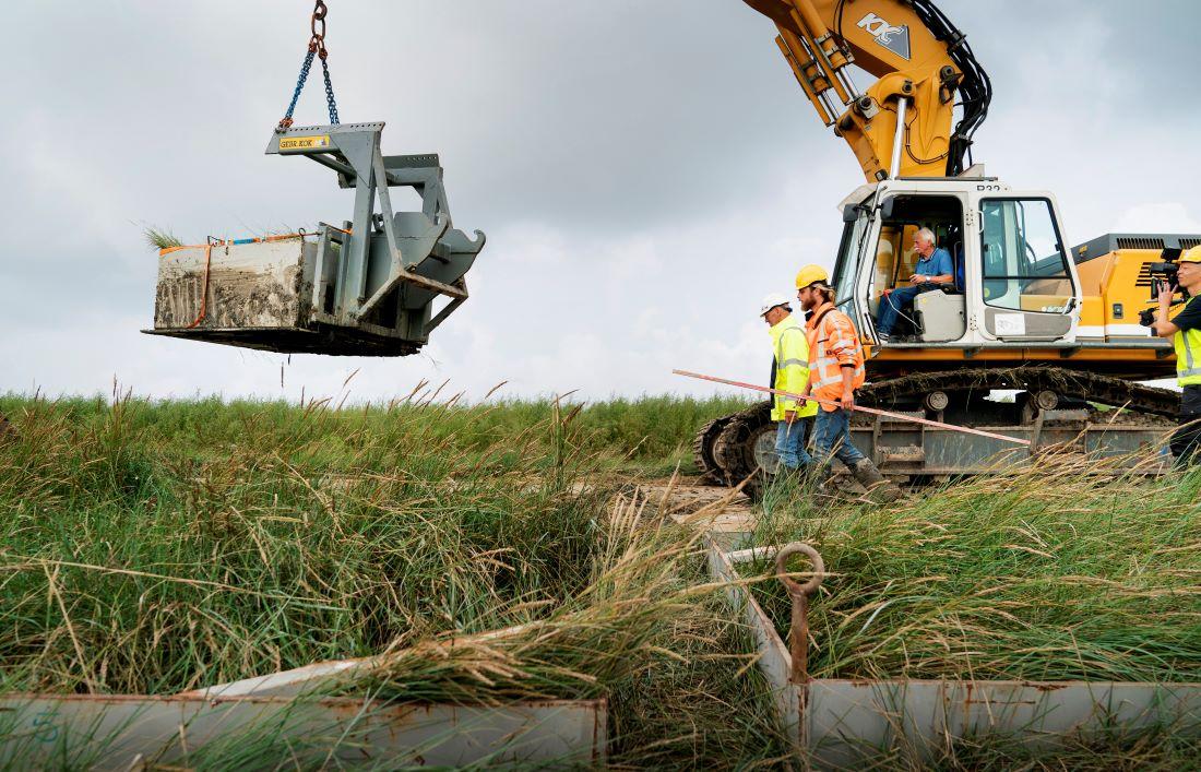Kweldervegetatie uitsteken Friesland Wetterskip Deltares