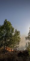 Brand Deurnsche Peel 2020 04