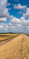 Droogte nieuwsartikel