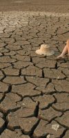 Drought