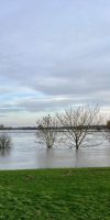 Hoog water Wijk bij Duurstede december 2023 web
