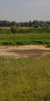 Droge poel