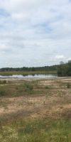 Droogte natte heide Dwingelderveld zomer