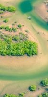 Ecosysteem 11zon