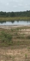 Lagegrondwaterstanden droogte natte heide Dwingelderveld zomer 2019
