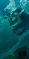 Plasticvangen plastic under water