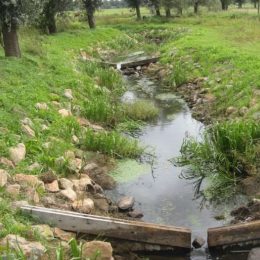 Grondwater