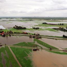 Maasland wateroverlast header