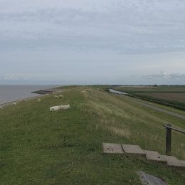 Dijk bij Sexbierum foto Wikimedia