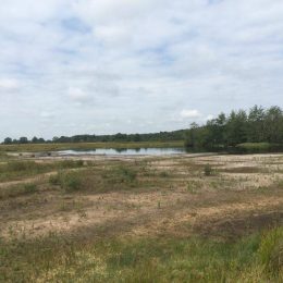 Droogte natte heide Dwingelderveld zomer