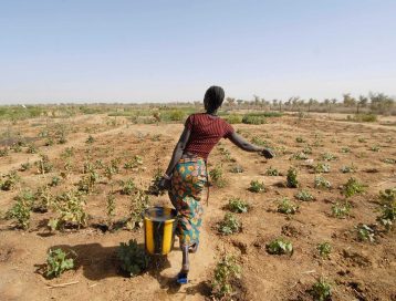 Moonshot Resilient and healthy water systems for people and nature