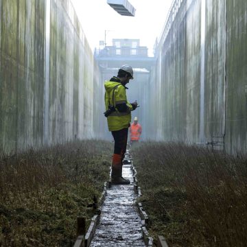 Kweldervegetatie in de deltagoot