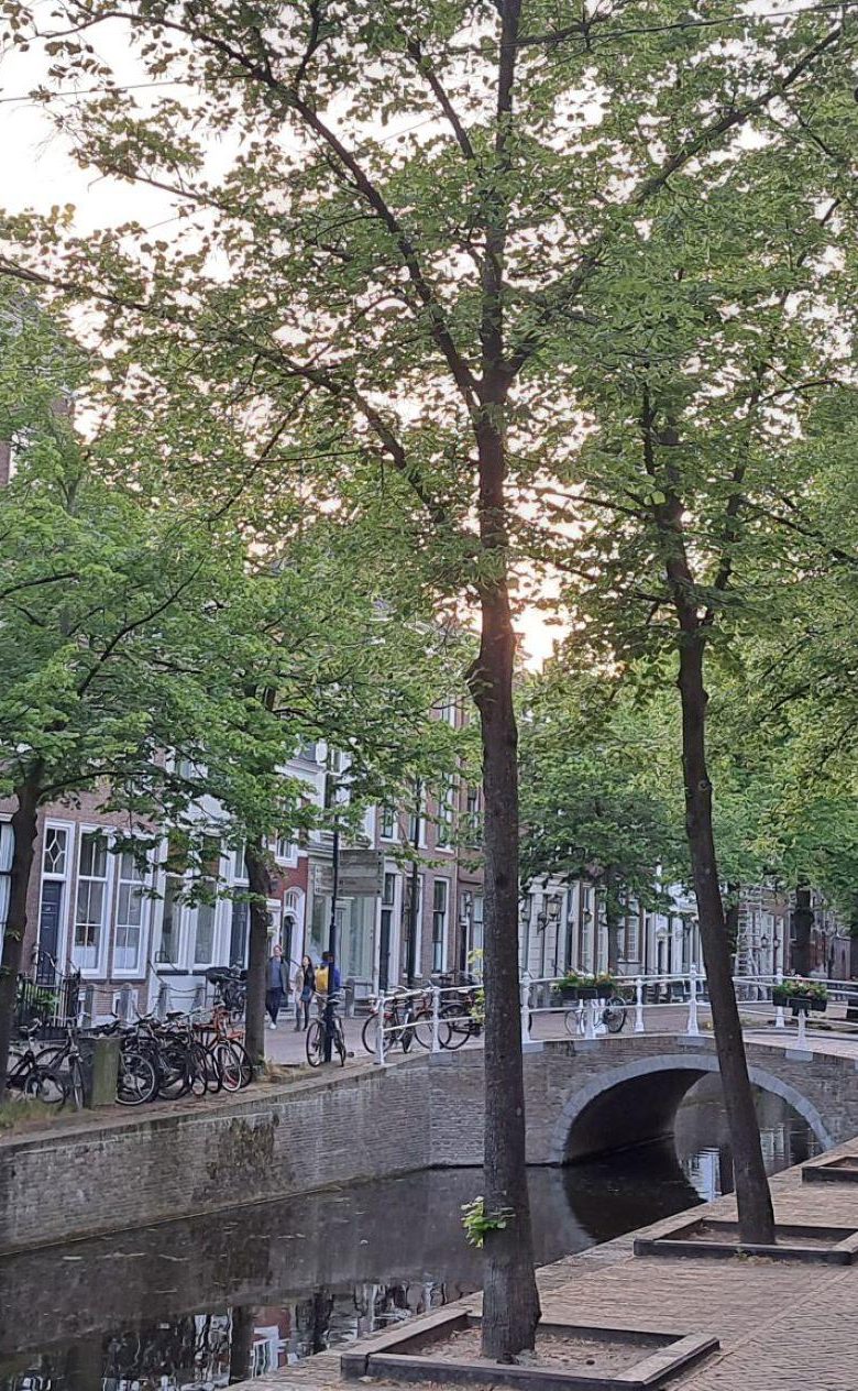 Delft ECPMG 2024