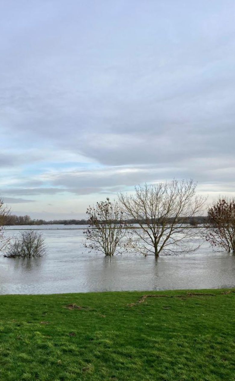 Hoog water Wijk bij Duurstede december 2023 web