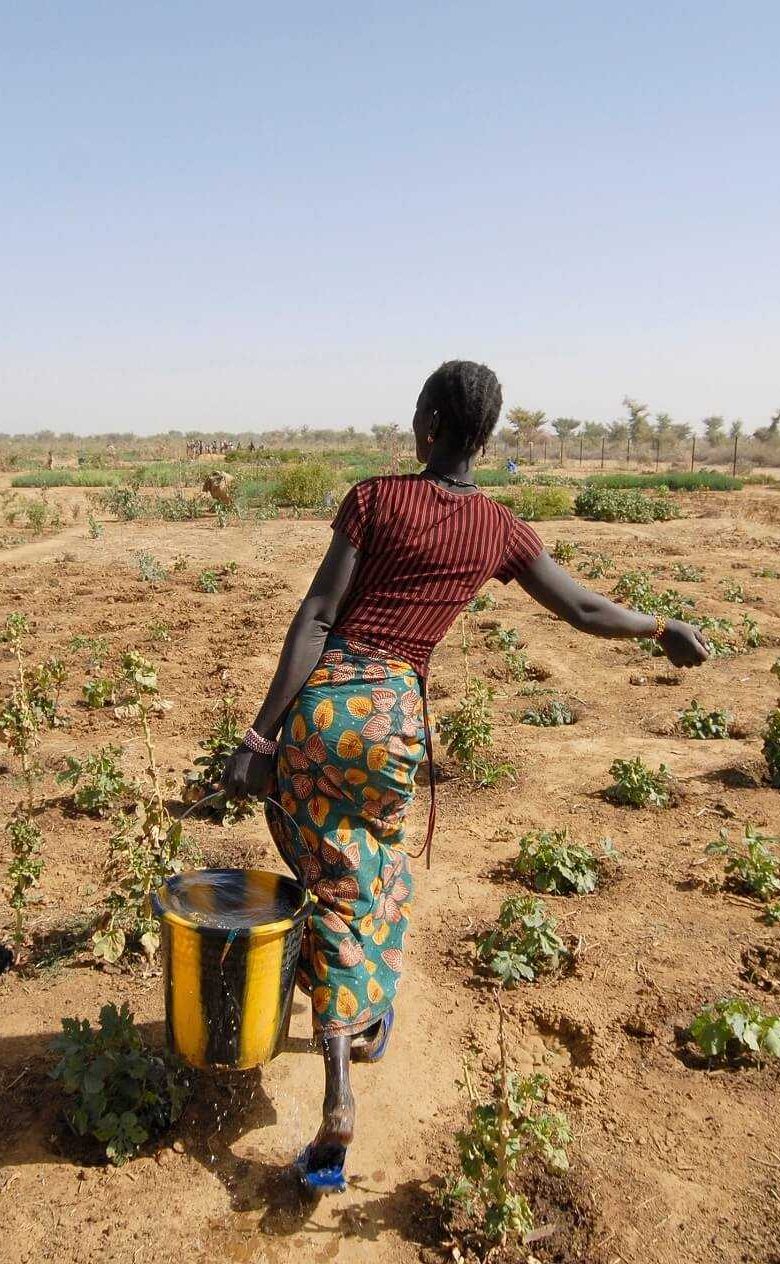Moonshot Resilient and healthy water systems for people and nature