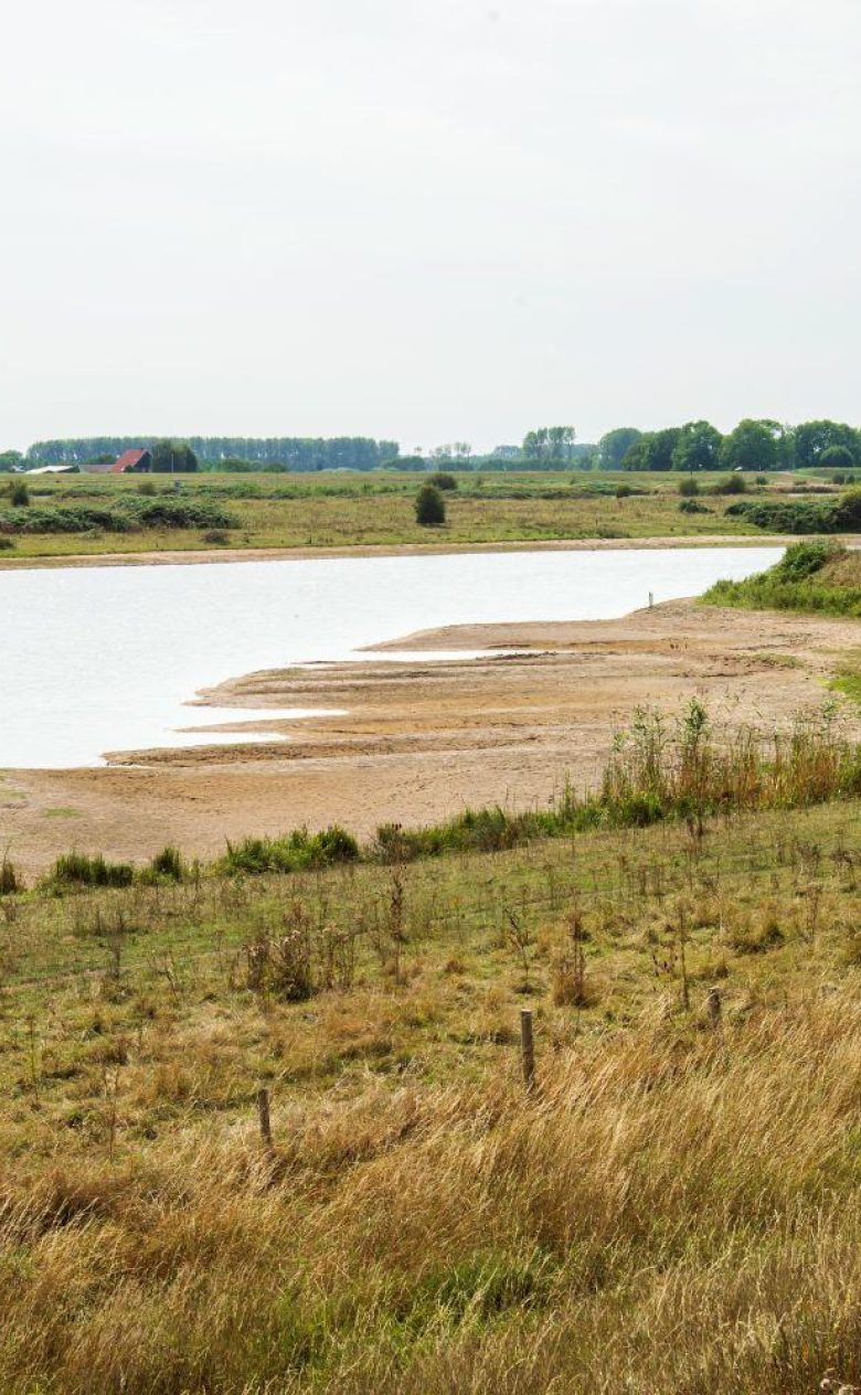 Detaprogrammazoetwater