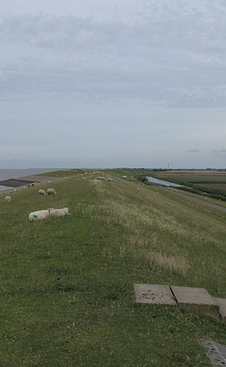 Dijk bij Sexbierum foto Wikimedia