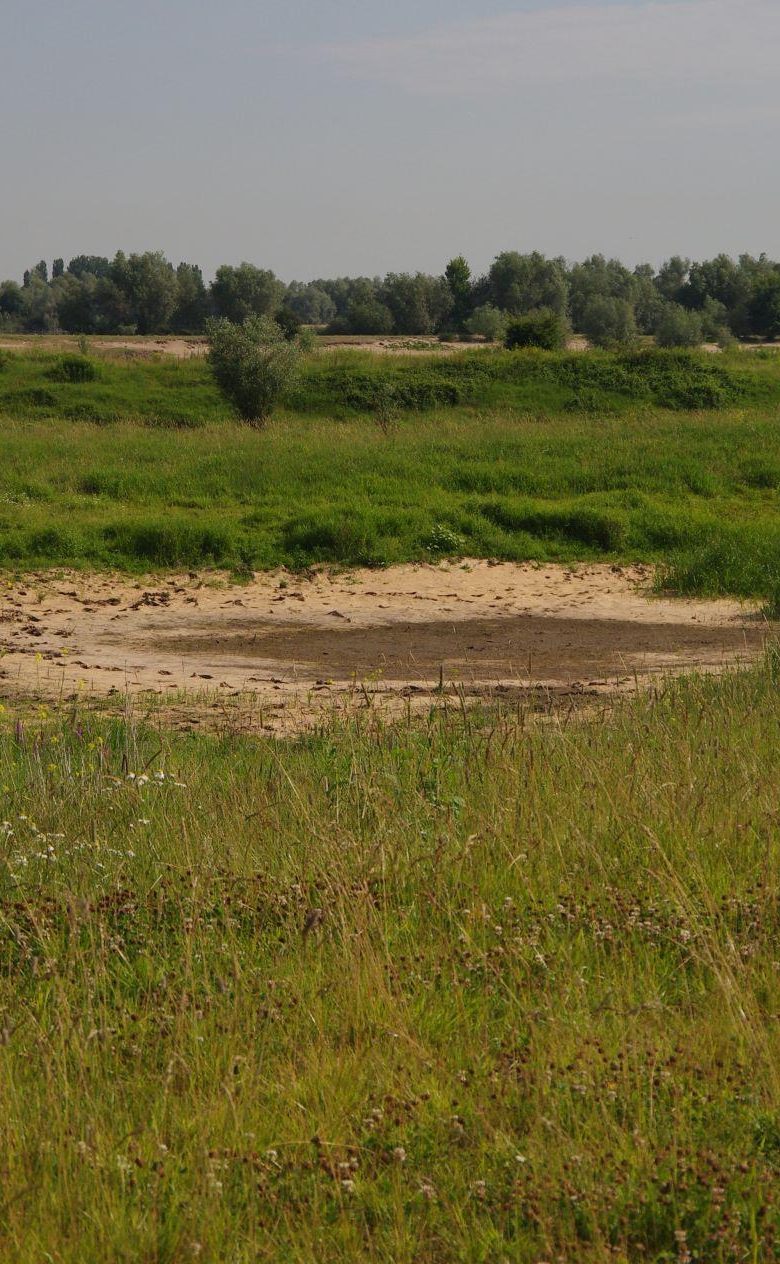 Droge poel