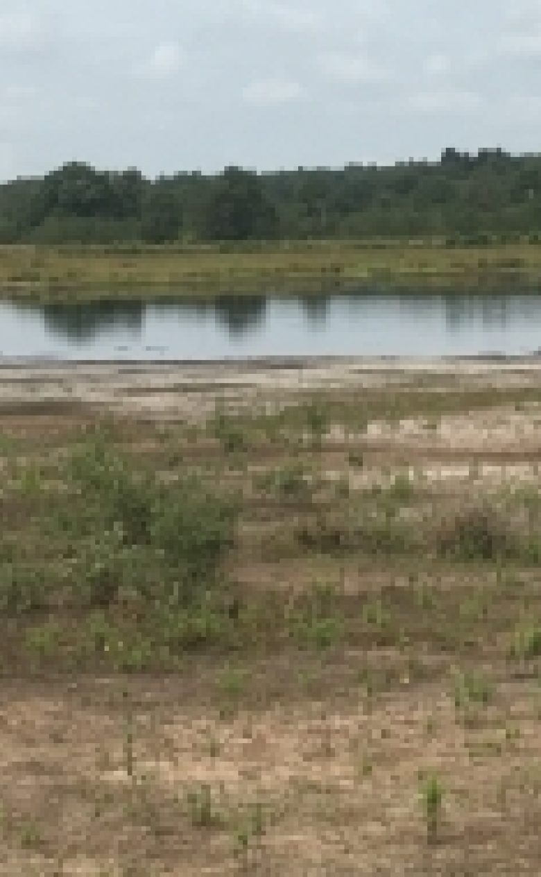Lagegrondwaterstanden droogte natte heide Dwingelderveld zomer 2019