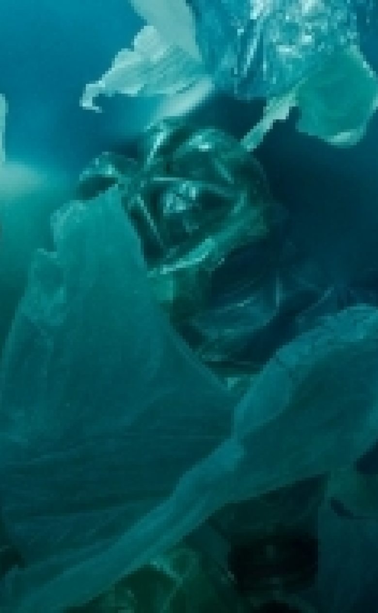Plasticvangen plastic under water