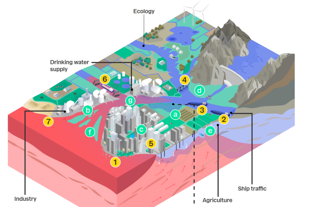 infographic salinisation