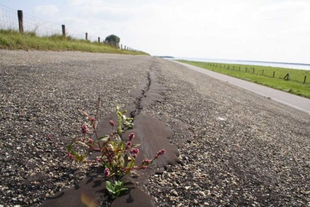 Asphalt Krammerslikken sfeerimpresssion