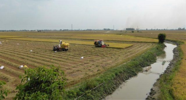 Harvest