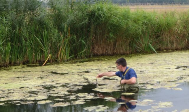 Metingen waterkwaliteit Hoog Dalem