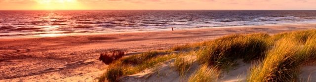 Strand en duinen