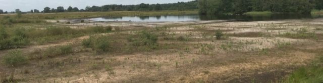 grondwater droogte natte heide dwingelderveld