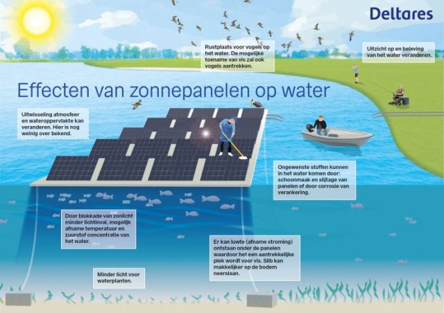 Denkbare positieve en negatieve effecten van een drijvend zonnepark op water.