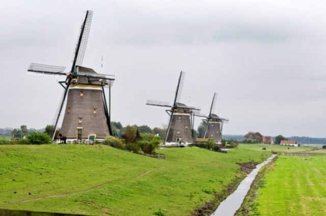 bodemdaling veenweide