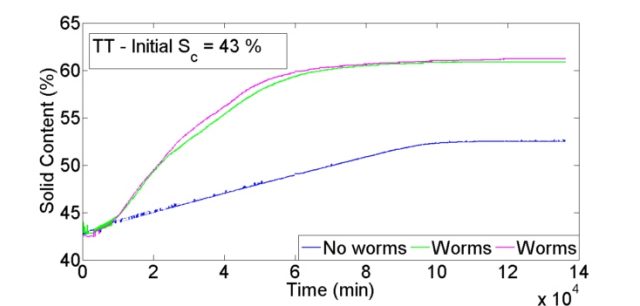 Solid content evolution as a function of time for a tailings bed