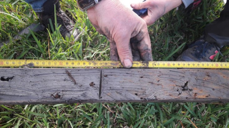 The rust zone is clearly visible in this soil sample.