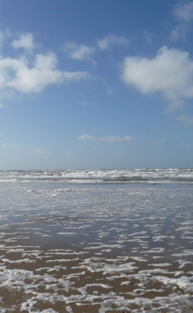 Noordzee 735x551