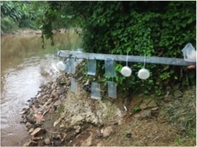 watermonstering indonesie