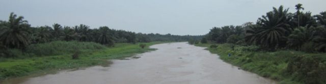 peatland South-East Asia