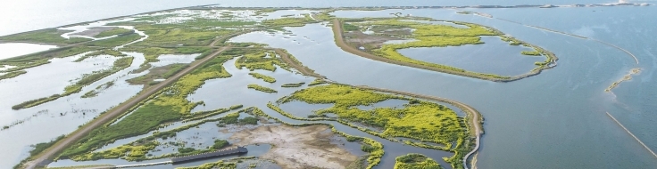 Markerwadden