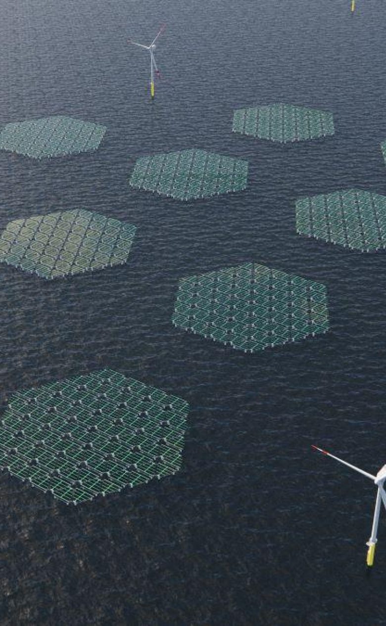 Zon op zee Deltares Solar Duck modulair zonneveld