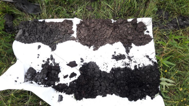 Laying out the soil samples